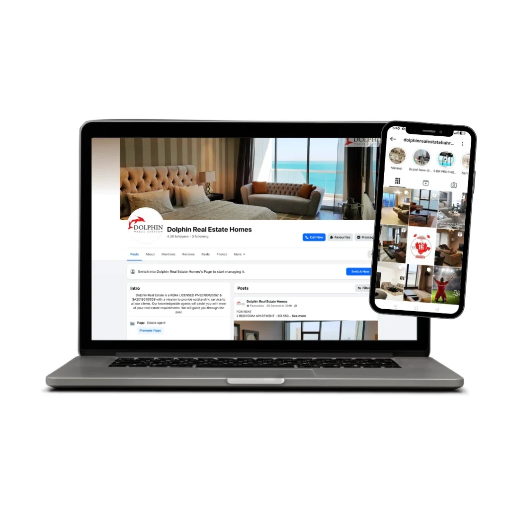 Dolphin real estate featured image